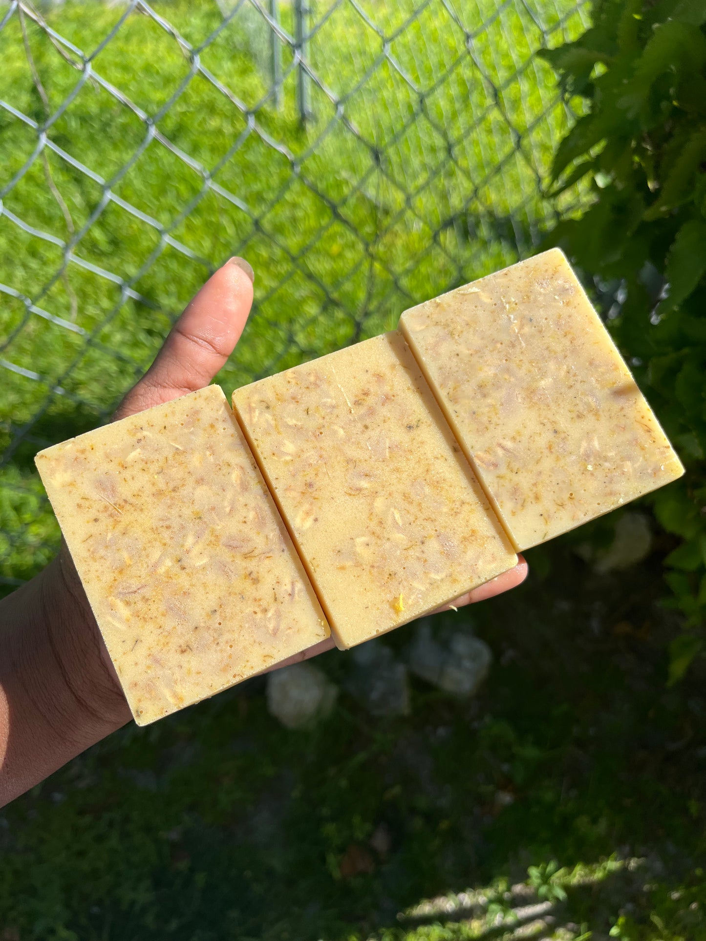 Goats milk oatmeal Soap