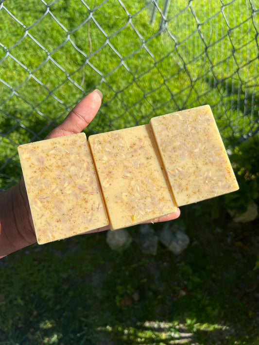 Goats milk oatmeal Soap